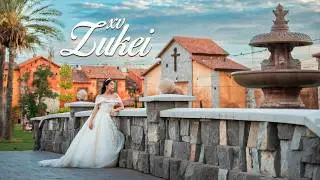 Resumen XV Zukei - Villa Toscana - HMO - 28 JUNIO 2024 - IR