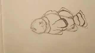 Art tutorials be like...pt.2||drawing a clown fish||Realistic Finding Nemo||decodingart||