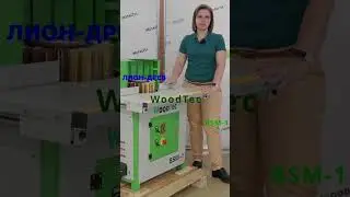Станок щеточно-шлифовальный WoodTec BSM-1 #станок #станкидлябизнеса #shortvideo