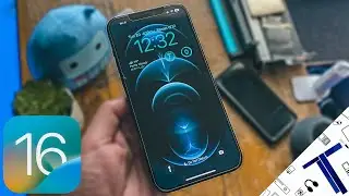 iPhone 12 Pro Max On IOS 16 | Should You Upgrade? (A Week Later)