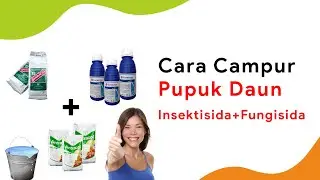 Aturan Mencampur Pupuk Daun dengan Insektisida / Fungisida + Contoh Aplikasinya