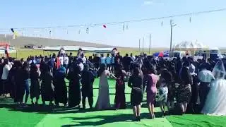 Koma rojda