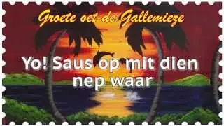 VLEISBOEKET - Nao De Gallemieze