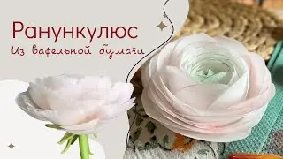 Ранункулюс из вафельной бумаги. Самый простой способ✨