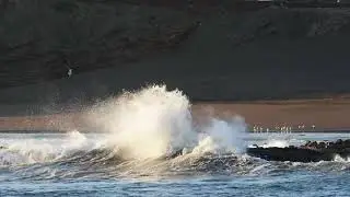 Paz