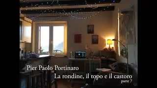 STD - Pier Paolo Portinaro, La rondine, il topo e il castoro (parte 7)