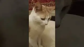 Правда жизни 😺💞😊 