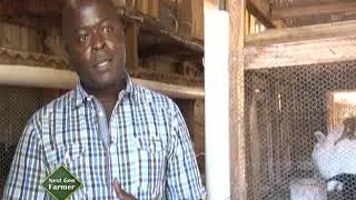 Cashing it big from Rabbit business - Shadrack Mwendwa Part 1