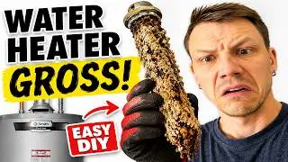 I Fixed My Hot Water Tank (DIY Full Tune-Up)