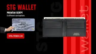 FiveM Wallet Script | STG Scripts