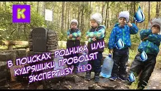 Нашли настоящий РОДНИК! И провели экспертизу воды!