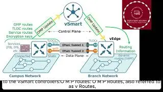 OMP overview | SD-WAN OMP Route Advertisements Explained | CCNA, CCNP, CCIE, Networking | Part 3