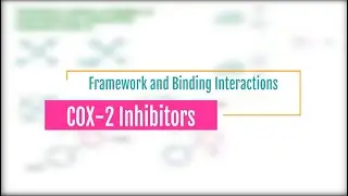 05 COX-2 Framework and Binding Interactions - Edited in 2021
