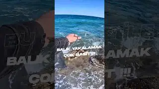 IT IS VERY SIMPLE TO CATCH FISH WITH THIS FAKE