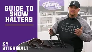 Selecting a Show Halter