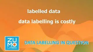 Data Labelling Is Costly. Data Labelling in Question. ZUMOLABS #datalabelling #datascience
