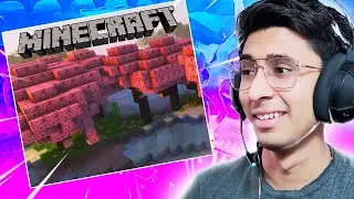 Short Minecraft Chill Stream