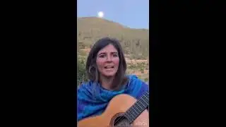 Pájaro viejo - cover Paz Shanti