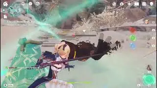 jean's critical nut cracking damage