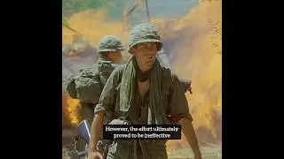 The Untold Story of Safe Conduct Passes in the Vietnam War and Platoon - #shorts #short