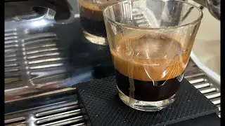 LIVE. | How to make a perfect espresso with Breville Espresso Machine