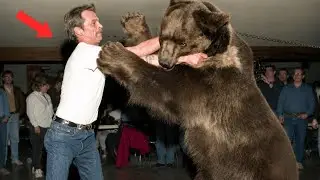 Rare Animal Encounters Caught on Camera You’ve Never Seen Before