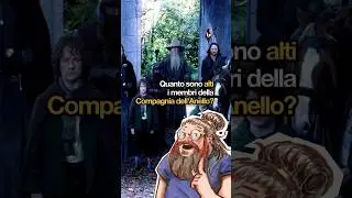 Quanto è alta la Compagnia dell'Anello? #ilsignoredeglianelli #lotr #booktube