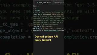 How to use OpenAI API FAST! #chatgpt #coding #chatbot #python #openai