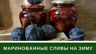 Pickled Plums for the Winter: My Super Recipe