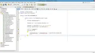 Java Program To Check Palindrome Using While Loop with charAt() Function