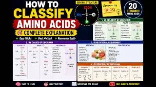 #biomolecule #RNA #DNA #proteins #amino acids # nucleic acids #trending #viral #Amino acid classific
