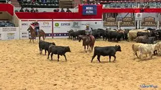 Dual Reyish Open1stGo