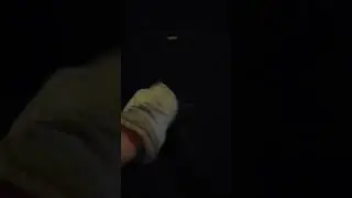 Mario orders a pizza