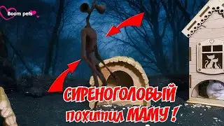 СИРЕНОГОЛОВЫЙ похитил МАМУ! Сиреноголовый в реальной жизни!