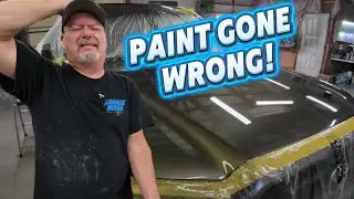 How to Wet  Sand & Buff a paint job for a Perfect Finish!