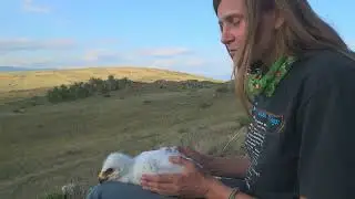 Too tiny for ringing