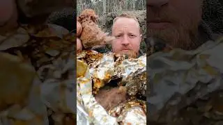 I Dug Out a BUNKER & survived on dear meat in the wild #outdoor #survival #hunting