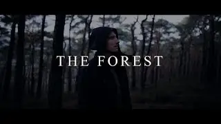The Forest