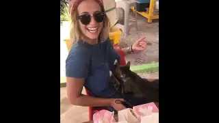 My Webm Collection #17 memes
