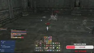 Lineage 2 Залетай, лутаю пуху на воротник