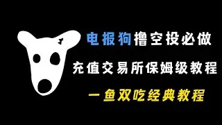 天王级项目电报狗撸空投必做，充值交易所一鱼双吃保姆级教程