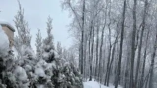 Найдите нашего зайца! Какой красивый и морозный день в нашем доме в лесу