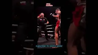 MMA, UFC, Bellator, Glory, One ChampionShip,