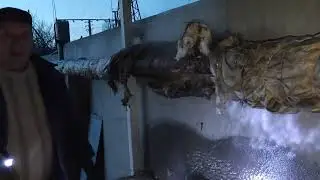 Каждую зиму одно и то же...