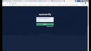 how to add numverify API to SMSAd.online
