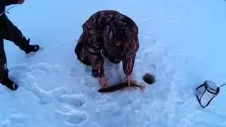 Ловля щуки на жерлицы в феврале.