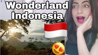 WONDERLAND INDONESIA TIKTOK VIRAL 2021 Reaction