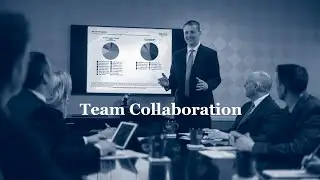 Team Collaboration