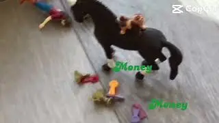 Money money money!!
