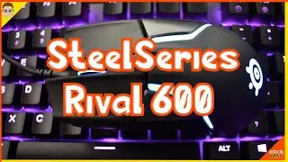 SteelSeries Rival 600 Review (2020) | Best Gaming Mouse For FPS Games?